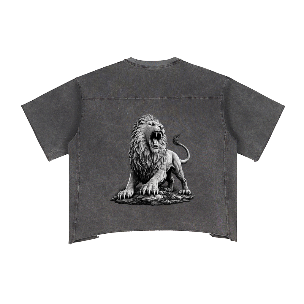 Raw Edge Snow Washed Boxy T-Shirt
