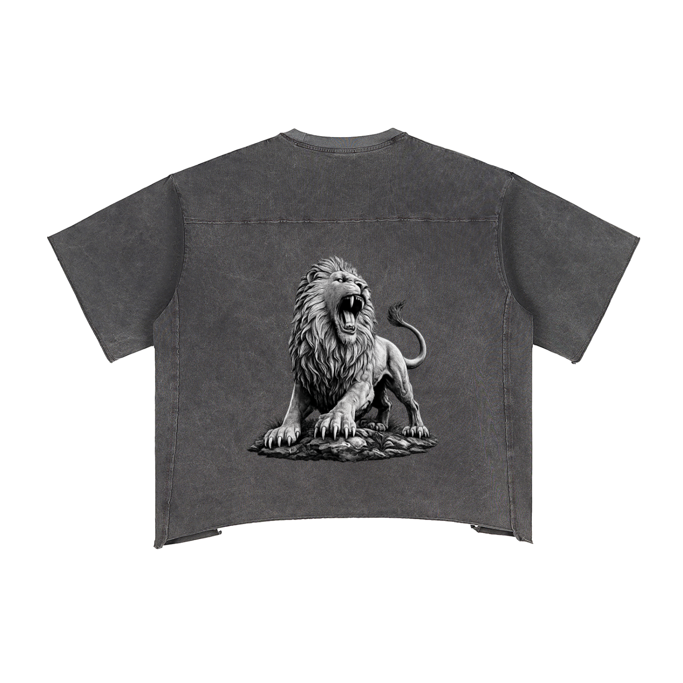 Raw Edge Snow Washed Boxy T-Shirt