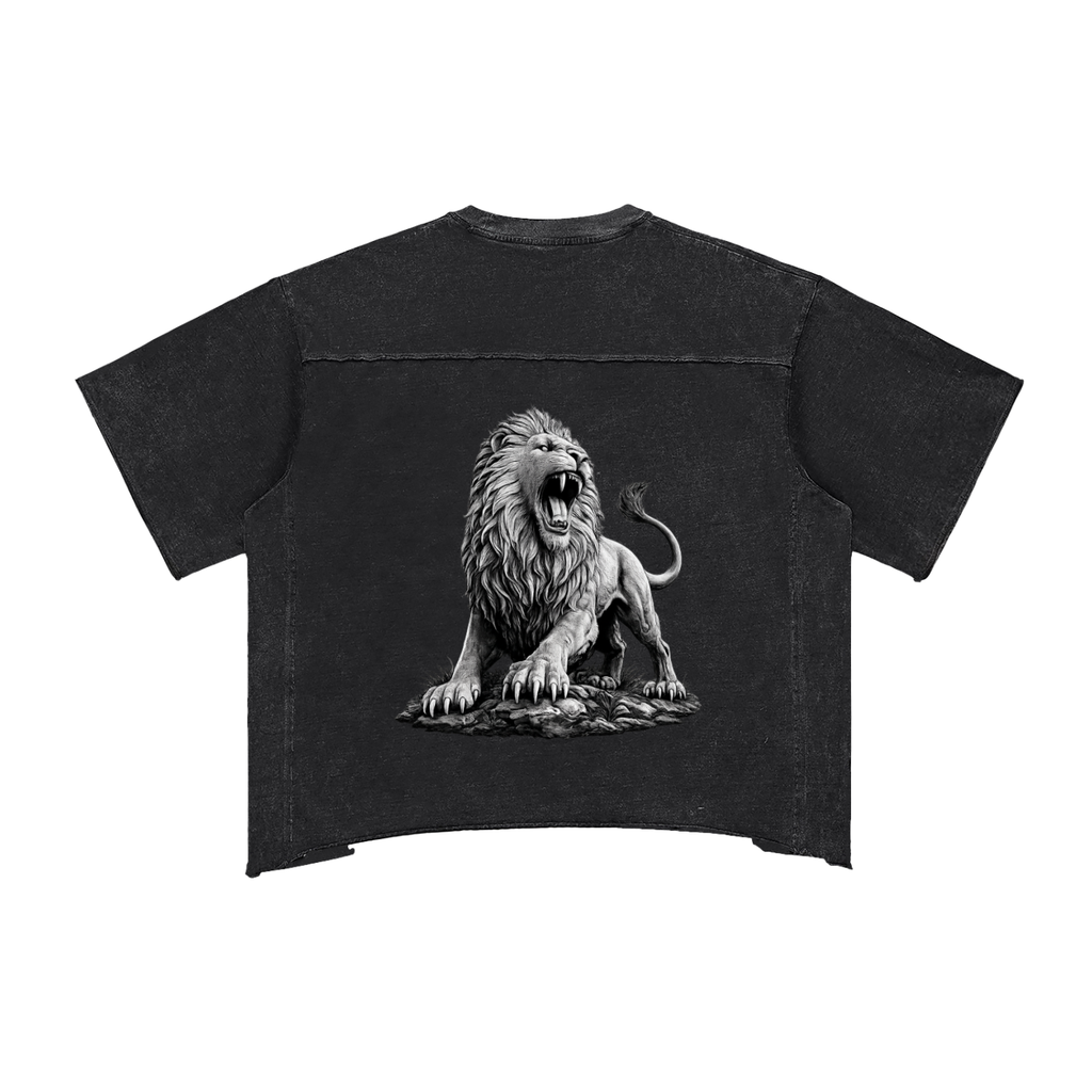 Raw Edge Snow Washed Boxy T-Shirt