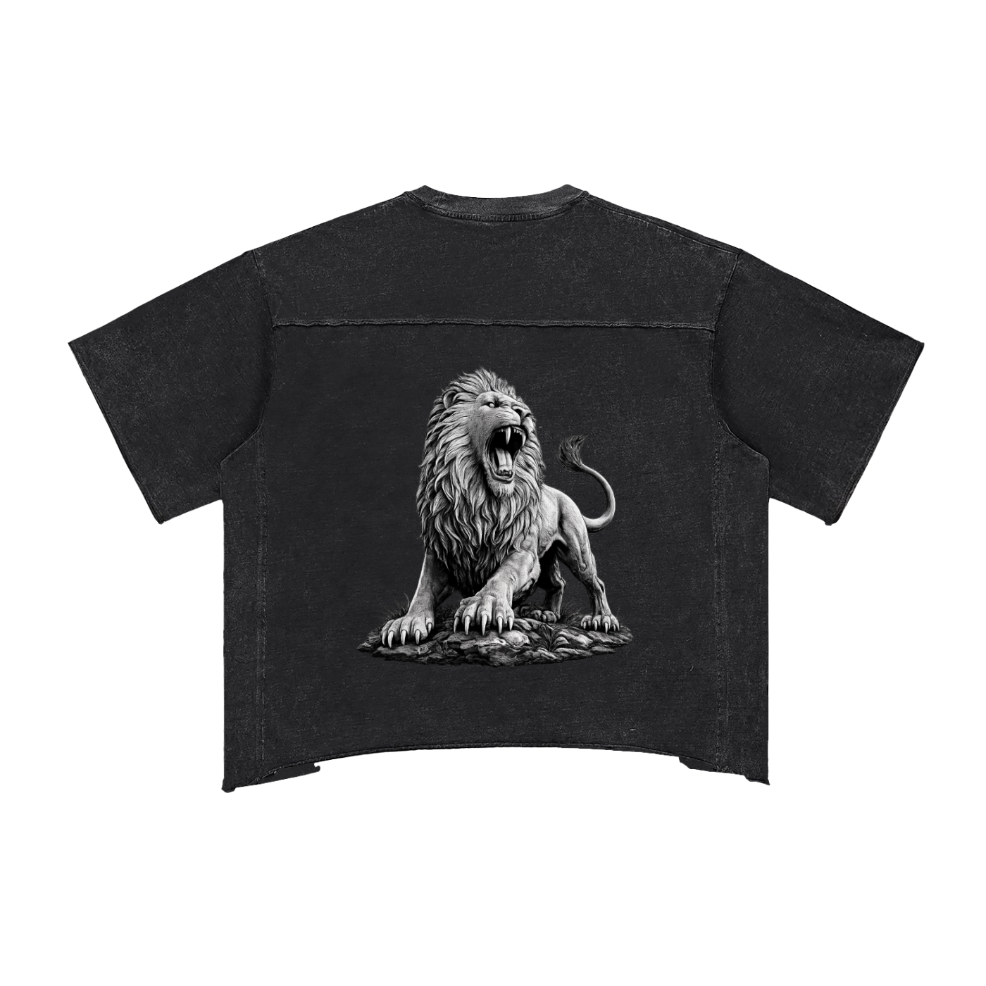 Raw Edge Snow Washed Boxy T-Shirt